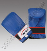 Boxing Mitts